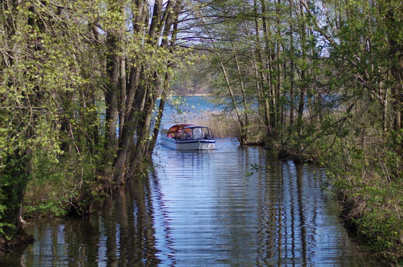 Sonnenhotel Feldberg Am See Mit Schwimmbad, Sauna Und Dampfbad Feldberger Seenlandschaft Exteriör bild